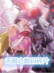 无限之数码碎片