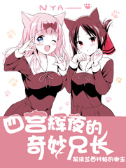 四宫辉夜的奇妙兄长