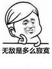 无敌的我是多么寂寞