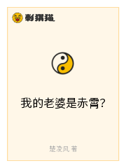 我的老婆是赤霄?