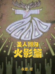 圣人回归火影篇
