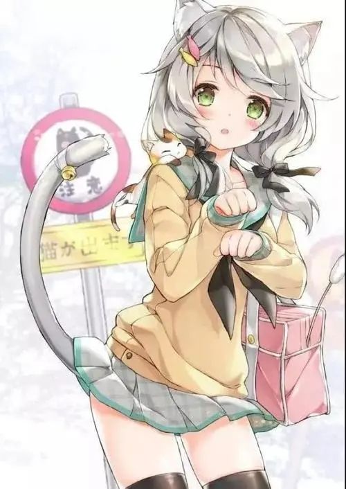 兽耳娘