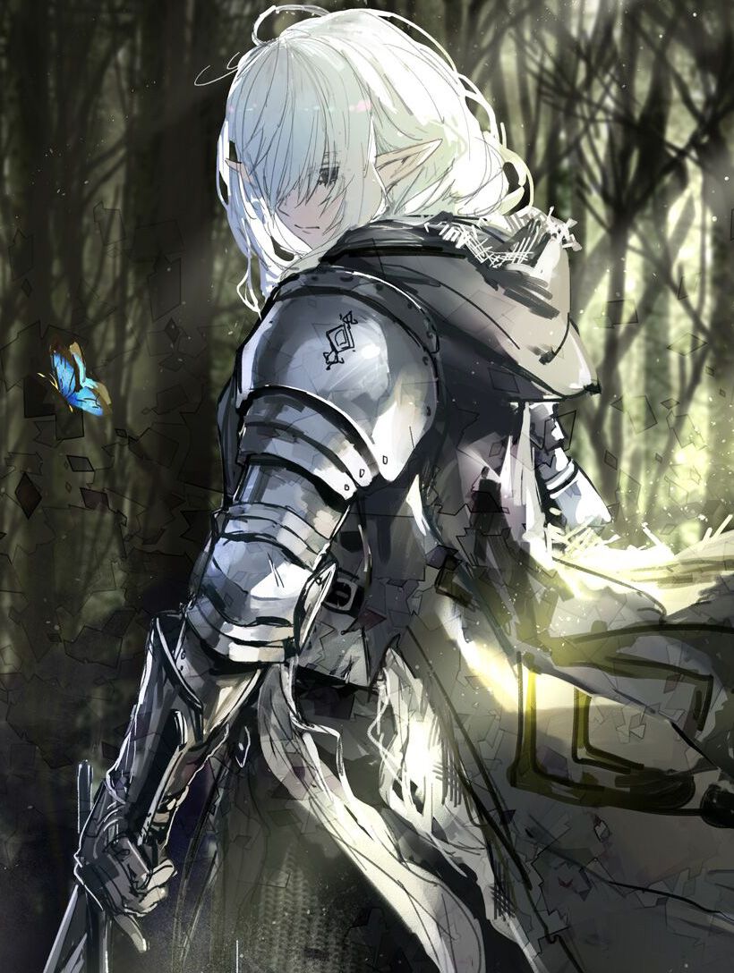 勇者行走于世间