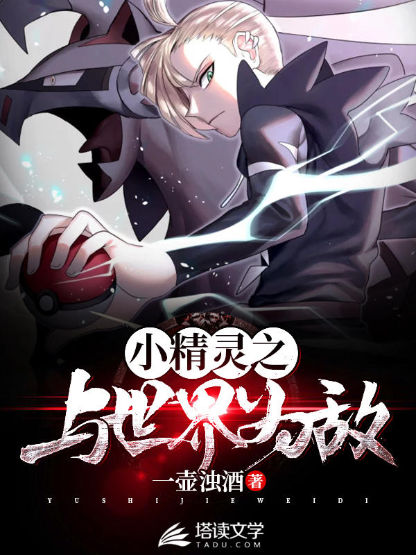 小精灵之与世界为敌 封面