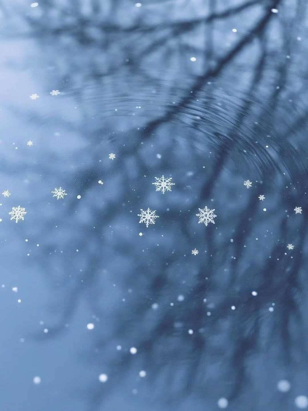 全校都爱上了我